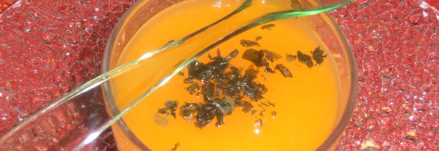 Panna Cotta Chocolat blanc et son coulis d'abricots