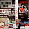 Sortie en librairie du format poche de LA CHINOISE DU TABLEAU