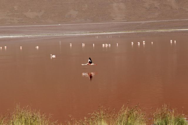 Album - 11-Bolivie