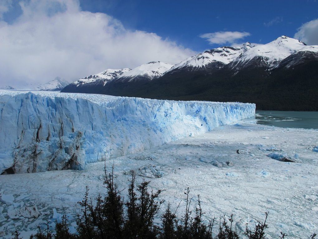 ALBUM - ARGENTINE