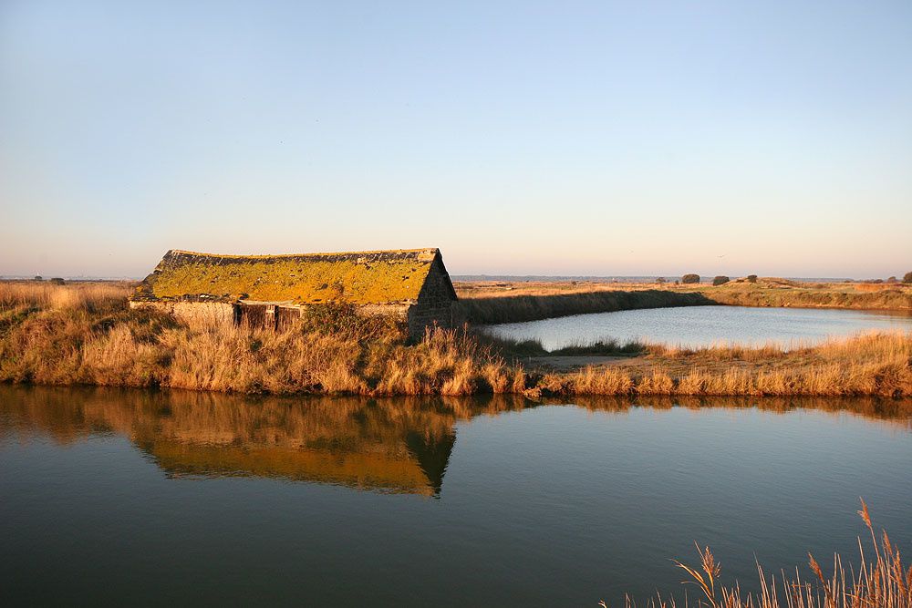 Images des marais salants de Gu&eacute;rande&nbsp;au lever du soleil