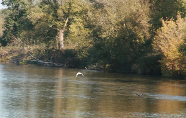 Bressolles (Allier) : Le Sentier des Castors.