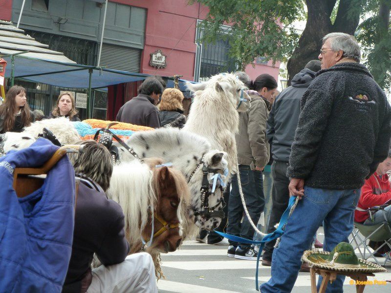 Feria de Mataderos