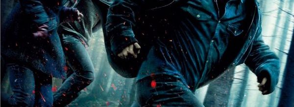 Film à l'affiche numéro 9: Harry Potter et les reliques de la mort (1)