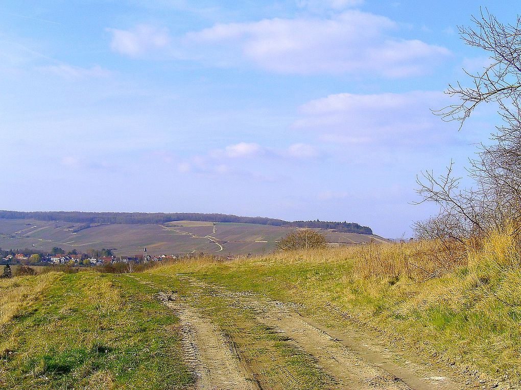 Beaux paysages de Chézy