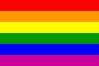 Evolution du Rainbow Flag