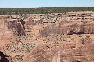 The road trip - Canyon de Chelly