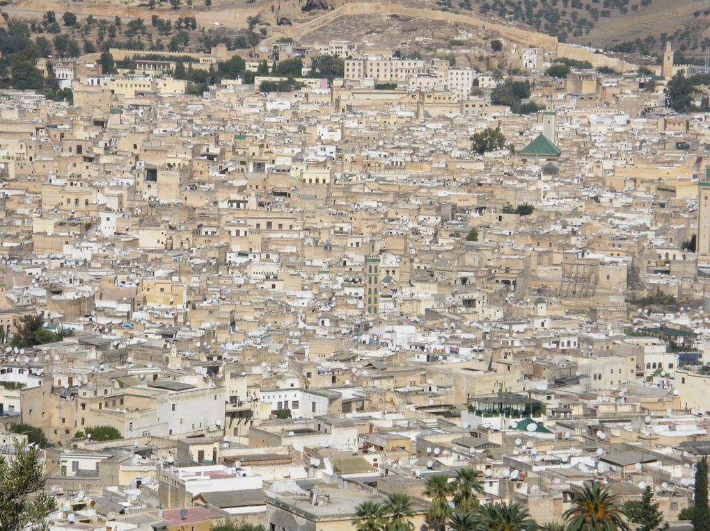 médina et tanneries