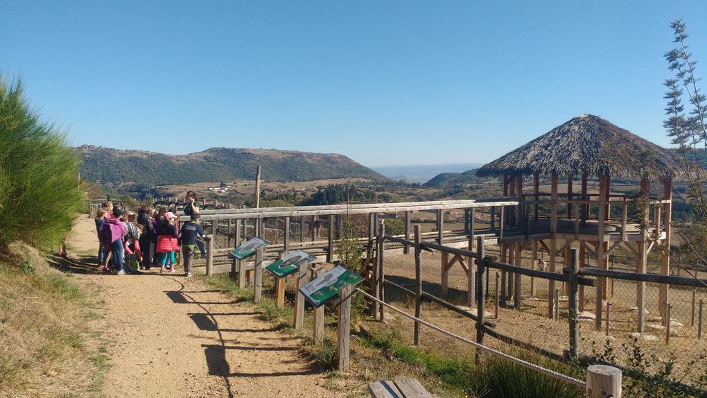 Visite du parc animalier d'Auvergne