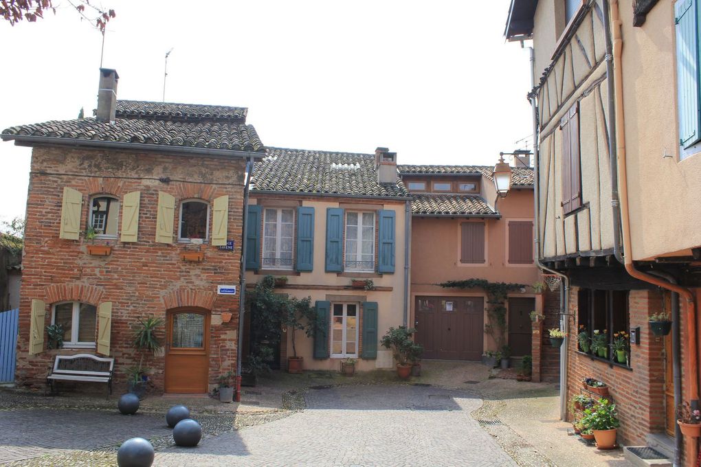 Le Quartier de Castelviel, le Musée Toulouse Lautrec, le cloitre Saint-Salvy
