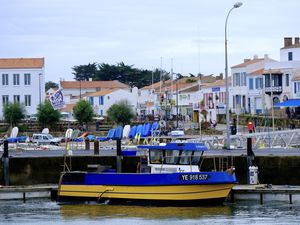 Les bateaux divertissent le port, les rues défilent avec langueur et s'étirent en couleur, les souris assomment les chats qui préfèrent jouer avec les papillons, les figuiers se reposent depuis un siècle et Van Gogh disserte sur le coeur des hommes....c'est aussi ça Port Joinville !!! 