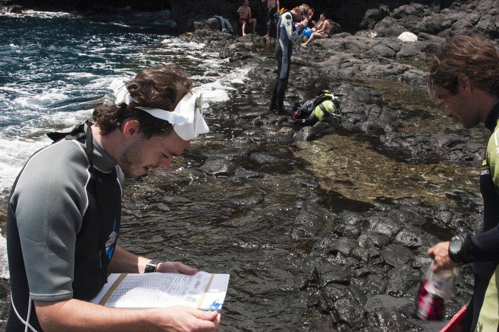 Méthode de suivi environnemental au Cap la Houssaye (Réunion) permettant d’évaluer l’état de santé d’un récif et de détecter des changements
écologiques liés à des perturbations naturelles ou humaines.