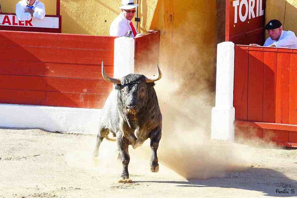 Ceret de toros: le 30ème anniversaire (épisode 3)