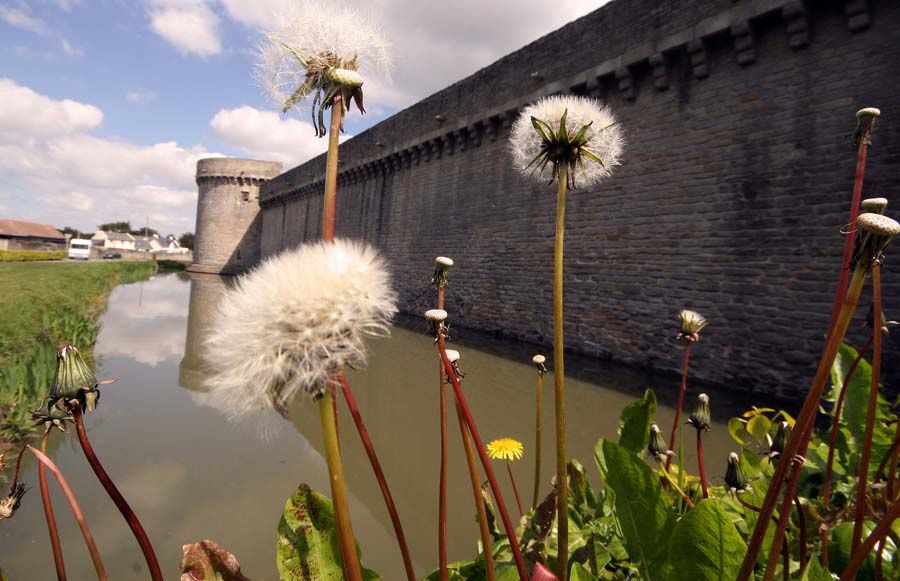 Les remparts de la ville de Guérande au printemps