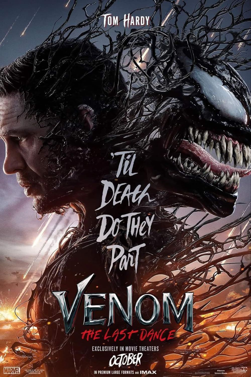 Venom Last Dance (2024) Kelly Marcel
