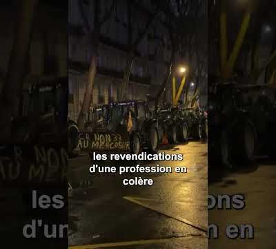 Les champs, élisez !