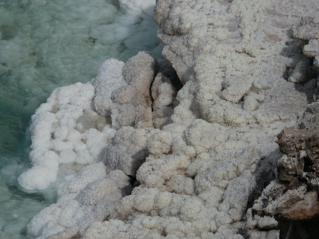 les bords de la mer morte sont rocheux et très beaux