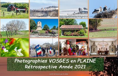 VOSGES-en-PLAINE, rétrospective 2021 en photographies