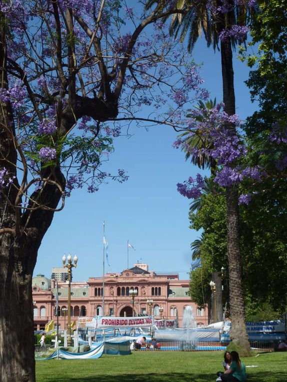 Voici quelques photos de Buenos Aires et de ces places ou monuments les plus connus !