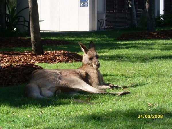 Album - University-of-the-Sunshine-Coast