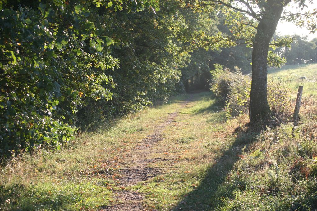 quelques photos prises toutau long du parcours .....