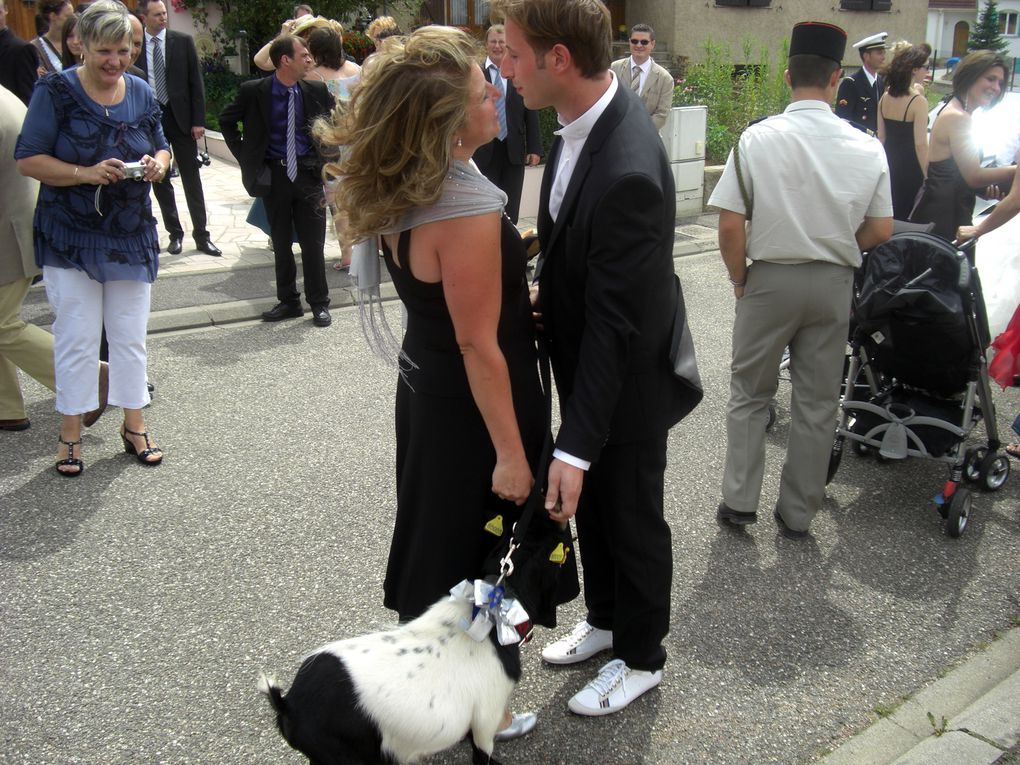 Lors du mariage du benjamin d'une fratrie, l'aîné encore célibataire doit ouvrir le cortège avec une chèvre...