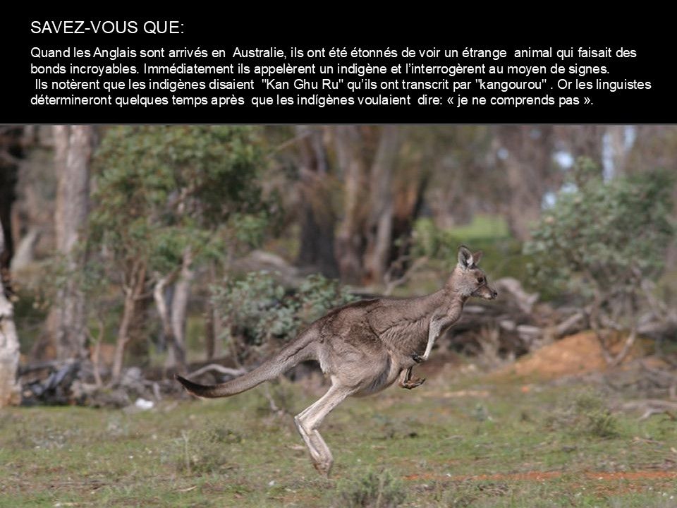 Divers - Le Saviez-vous - 2