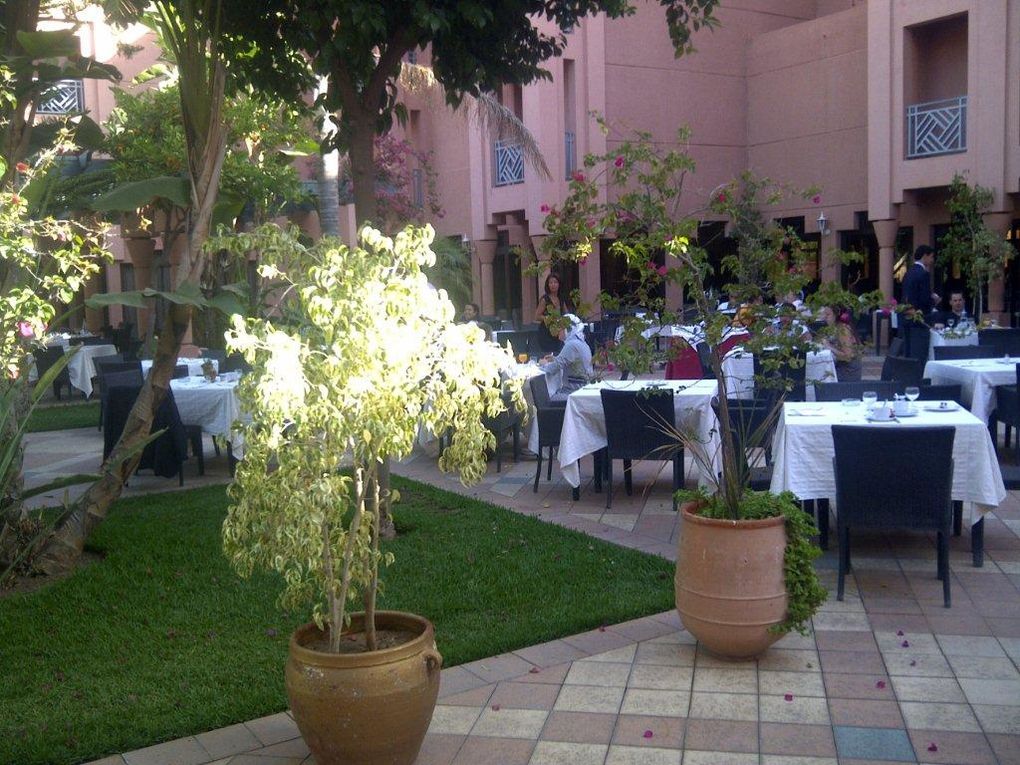17 et 18 mai 2012. Conférence Fraud Risk et Revenue Assurance. Hôtel Mansour eddhabi.