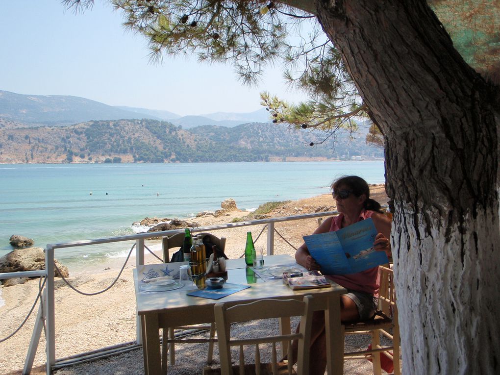 Taverna sous les pins au bord de l'eau