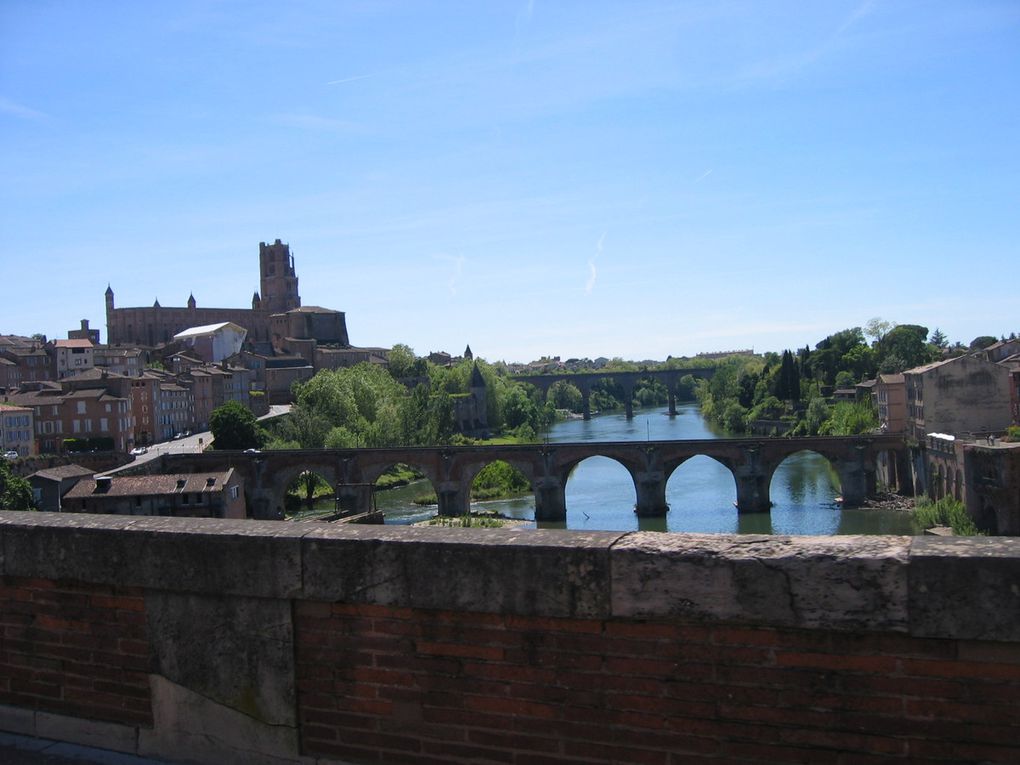 Albi