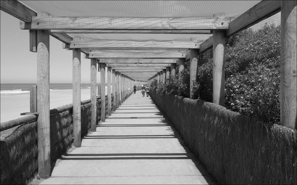 Biarritz à Bayonne (Rando) AA