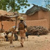 Burkina Faso : Une quinzaine de terroristes tués dans la forêt de Bangao - KOACI