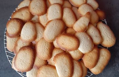 LANGUES DE CHAT