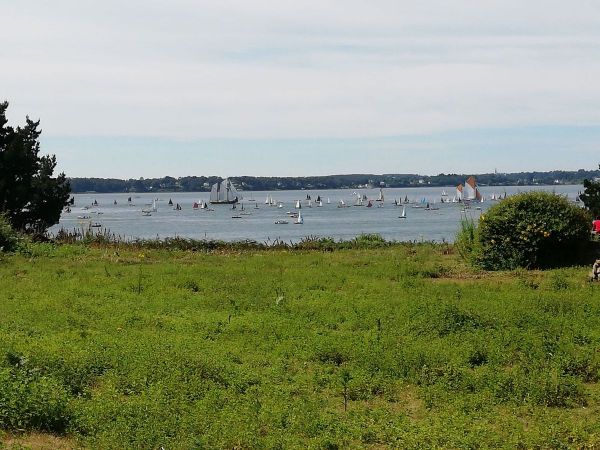 Semaine du golfe... île aux moines