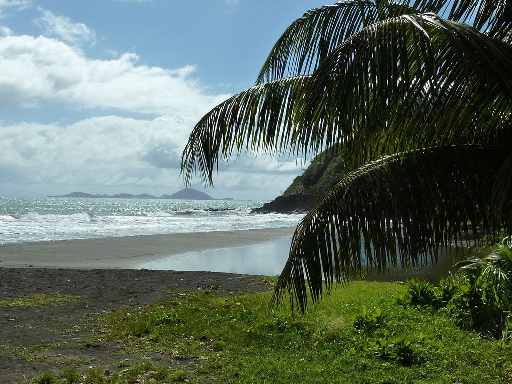 Séjour en Guadeloupe du 06 au 16/12/2009