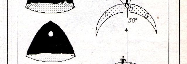 Geografía Básica. Libro Básico de Consulta, 1994 (15/).