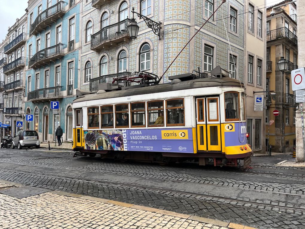 Les tramways et des arbres étonnants 