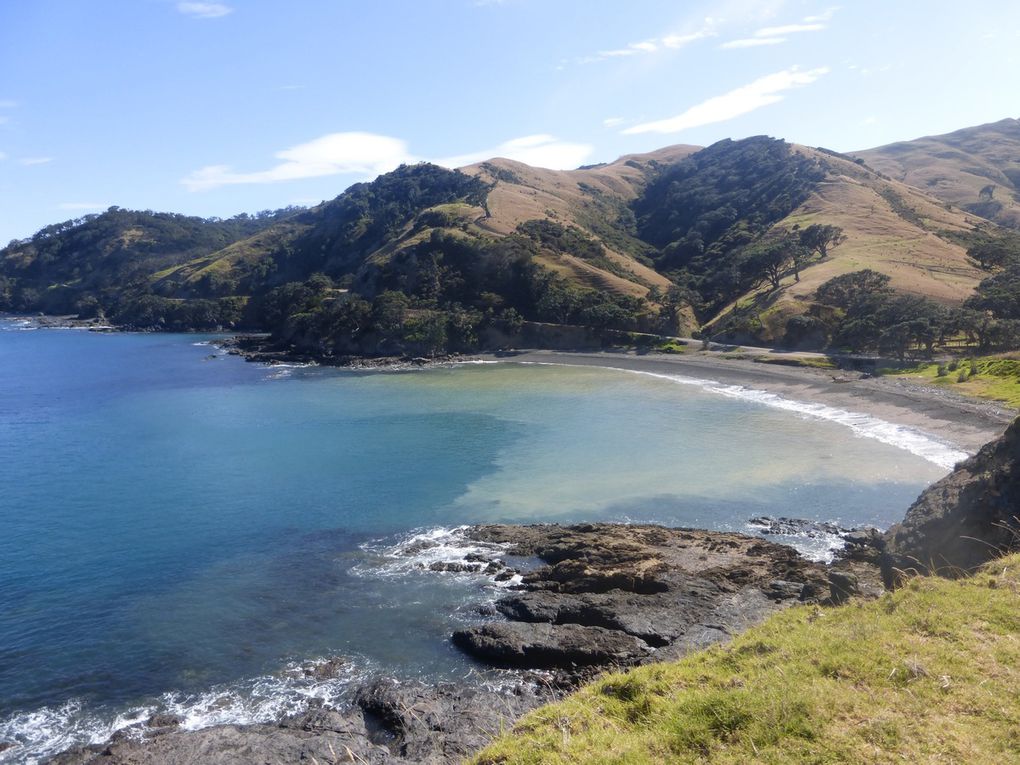 Péninsule de Coromandel