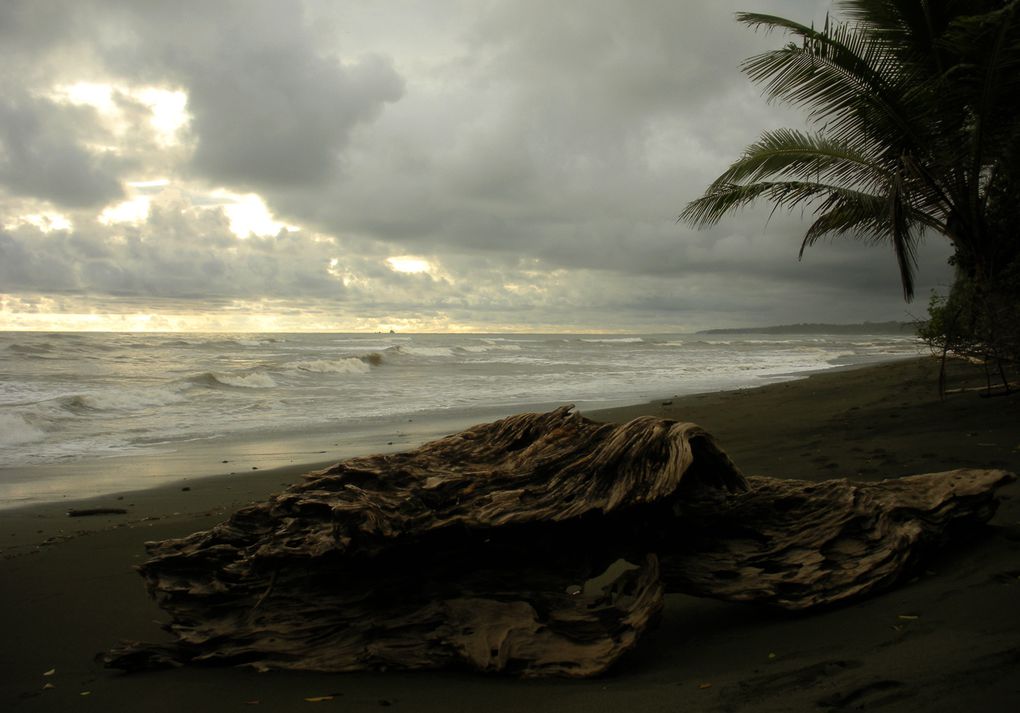 Bocas del Toro, Santa Catalina, Parc Corcovado, Boquete, Isla Bastimento, Puerto Jimenez, Dominical