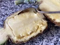 Crème brûlée à l’ananas