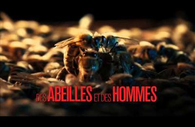 Des abeilles et des hommes