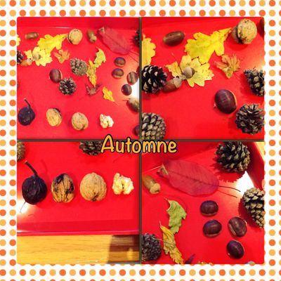 Plateau sensoriel Automne 🌰🍁
