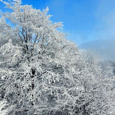  Croix du Nivolet (1547m) - Le Sire (1558m) en boucle par La Féclaz  