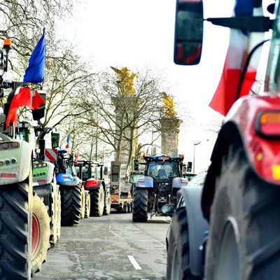 52 gardes à vue pour la confédération paysanne, tapis rouge à la FNSEA ! 
