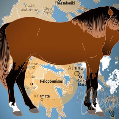 Cheval Andravida, une race légère élevée dans la région d'Élide