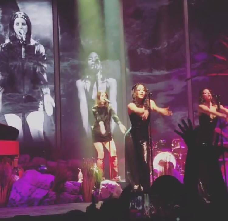 Lana Del Rey en live au Capital One Arena de Washington, au District De Columbia (25/01/2018)