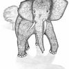 Grand père Elephant,