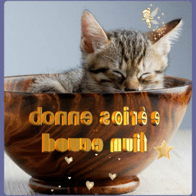 gifs - images " Bonne nuit" chats