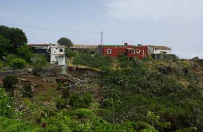 Mercredi 14 mai : Masca - Los Gigantes