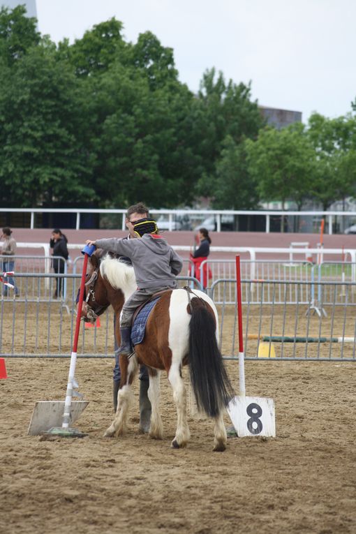 Voici un exemple d'équifun que nous mettons en place durant l'année scolaire. Celui de Cordemais se déroule pendant les finales départementales d'équitation de Saut d'obstacle, de Pony-games, etc.